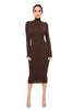 Women's Bodycon Dress, High Neck, Long Sleeves and Brushed Knit Fabric