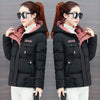 2023 Winter Jacket Women Parkas Hooded Thick Down Cotton Padded Parka Female Jacket Short Coat Slim Warm Outwear P772
