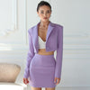 2023 Fall Casual Short Blazer Suit Two Piece Sets  Western Fitted Outfits Matching Sets Blazer And A-line Skirt Set