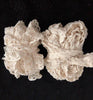 5 Meters/lot 2cm Width Ruffled Stretch Lace Fabric Cotton Elastic Lace Trim Bridal Dress Lace Costume Design Decoration
