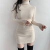 Autumn Knitted Bodycon Mini Dress High Collar Long Sleeve Slim Sweater Dresses For Women Autumn Winter Ladies Warm Pullovers