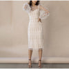 Embroidery Print Floral Mesh Women's Dress Long Sleeve O-neck Zipper Midi Dresses Female 2022 Summer Elegant Party Lady Vestidos