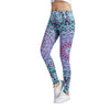 Fitness Women Leggings Bodybuilding Leggins Legins Quick Dry Sexy Slim Trousers Push Up Pencil Pants Female Mujer Leggings