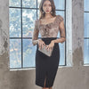 H Han Queen Elegant Office Pencil Dress Women's Korean Slim High Waist Sheath Dresses Mesh Patchwork Work Bodycon Vestidos