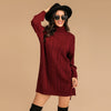 JIM & NORA Women Winter Long Sleeve Loose Turtleneck Christmas Knit Midi Dresses Ladies Christmas Print Xmas Party Wear