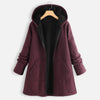 imCharmsY Autumn And Winter 2023 Cotton Padded Jacket Leisure Plush Padded Jacket Medium Length Hooded Women Coat