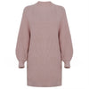 LAIWEIS Elegant sweater dresses for wome turtleneck long sleeve solid loose thicken basic autumn winter knitted dress