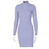 Long Sleeve Mini Dress Sexy Sweater Dress Women Knitted Turtleneck Slim Holiday Robe Club Vestidos Female Dresses Woman