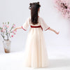 Lovely Style Dynasty Performance Teenage Girls Embroidery Short Sleeve Summer  Kids Dress Chiffon  Chinese Traditional Hanfu