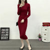 Autumn Winter Women Knitted Dress Turtleneck Sweater Dresses Lady Slim Bodycon Long Sleeve Bottoming Dress Vestidos PP003