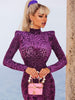 PB Stylish High Waist Purple Velvet Leopard Midi Dress High Neck Long Sleeves Celebrity Party Club