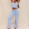 Sexy Fur Two Piece Set Fall Winter Fleece Thicken Women Outfits Backless Crop Tops And Pants Suit Solid Clubwear Sets