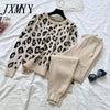 Streetwear Leopard Printed Knit Two Peice Suit Women Long Sleeve O-Neck Sweater Tops + Solid Color Harem Pants Casual Tracksuit