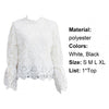 Tops Loose Sexy Hollow Design Long Sleeve Women Lace Blouses for Daily Wear