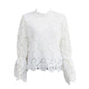 Tops Loose Sexy Hollow Design Long Sleeve Women Lace Blouses for Daily Wear