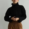 Winter Short Pullover Women Casual Turtleneck Knitted Sweater Solid Elegant Flare Sleeve Knitwear Female Warm Jumper