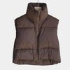 Winter Sleeveless Women Vest Casual Stand Collar Women Jacket Down Vest Short Warm Vests Waistcoats Vintage Chaleco Mujer