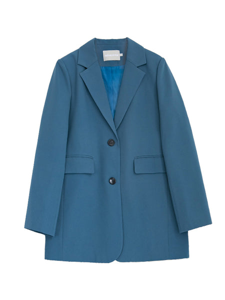 Women Blue Blazer Long Sleeves Single Breasted Elegant Office Lady Suit Casual Woman Blazer Suit Veste Femme