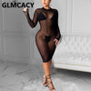 Women's Long Sleeve Mesh Lightweight Fitted Dress