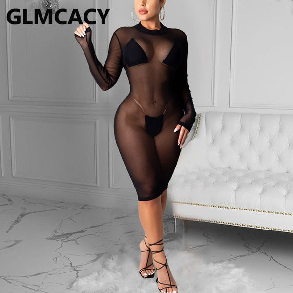 Women's Long Sleeve Mesh Lightweight Fitted Dress