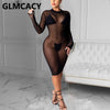 Women's Long Sleeve Mesh Lightweight Fitted Dress