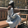 Women Loose Sweater Dress Autumn Winter Knitted Women Pullover Skirt Long Dress Round Neck Warm sweater Casual Midi Ladies Dress